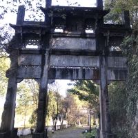 評論圖片 1