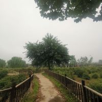 評論圖片 9