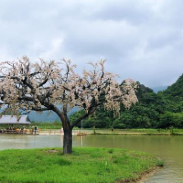 評論圖片 4