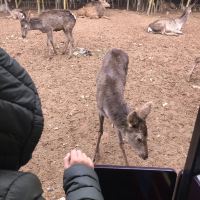 評論圖片 1