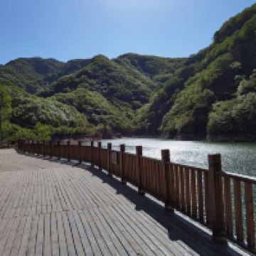 評論圖片 3