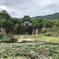 評論圖片 5