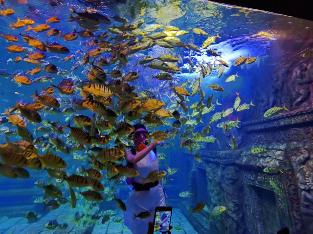 Beihai Undersea World
