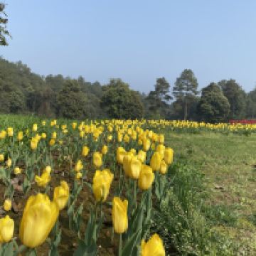 評論圖片 4
