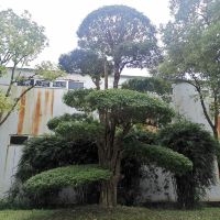 評論圖片 3