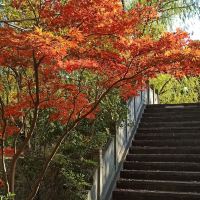 評論圖片 1