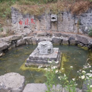 評論圖片 3