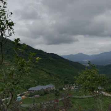 評論圖片 4