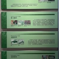 評論圖片 4