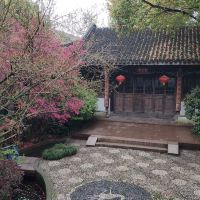 評論圖片 7
