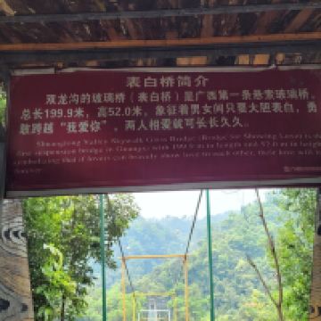 評論圖片 6