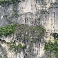 評論圖片 5