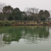 評論圖片 6