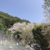 評論圖片 1