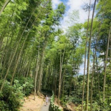 評論圖片 4
