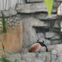 評論圖片 5