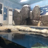 評論圖片 8