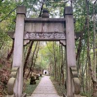 評論圖片 1