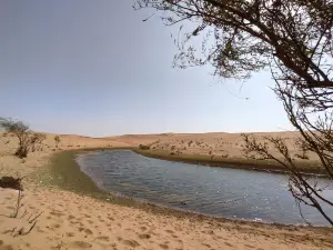 通湖草原