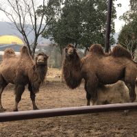 評論圖片 2