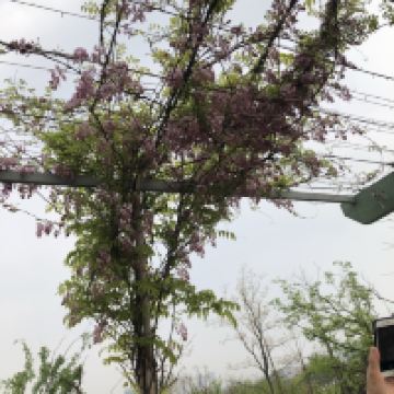 評論圖片 6