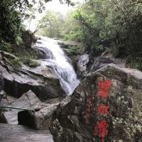 評論圖片 2