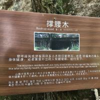 評論圖片 2
