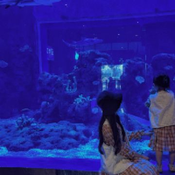 評論圖片 2