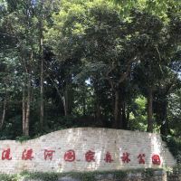評論圖片 8