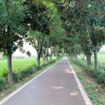 評論圖片 1
