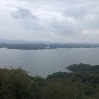 評論圖片 5