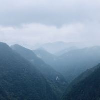 評論圖片 1