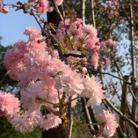 評論圖片 6
