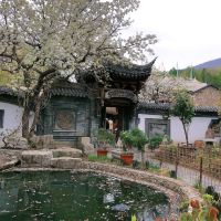 評論圖片 1