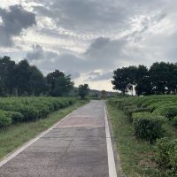 評論圖片 3