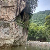 評論圖片 4