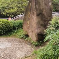 評論圖片 1