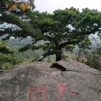 評論圖片 5