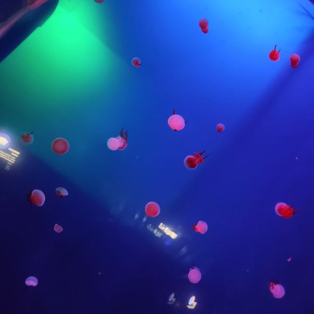 Oceanus Marine Park