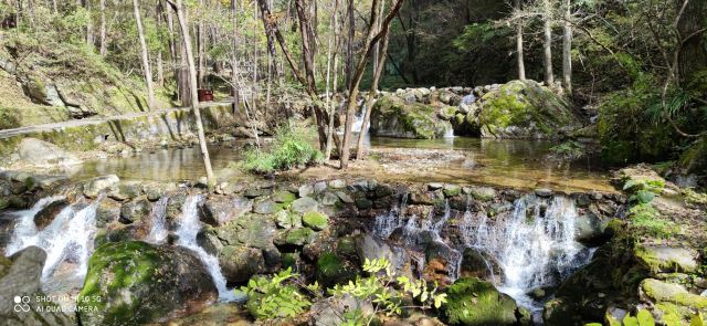 牛背梁国家森林公園