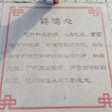 評論圖片 1