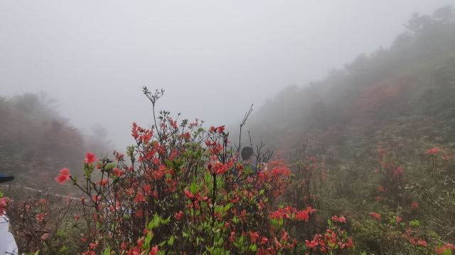 Xinxing Tianlushan Resort