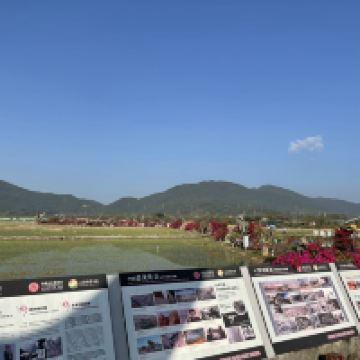 評論圖片 7