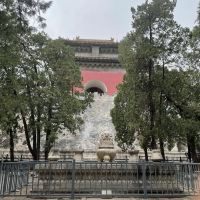 評論圖片 8