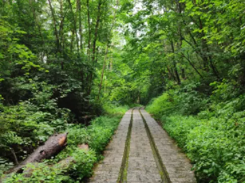 Wuying National Forest Park