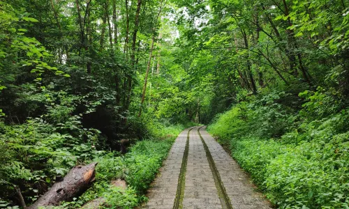 Wuying National Forest Park