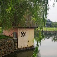 評論圖片 1