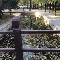 評論圖片 5
