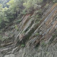 評論圖片 2