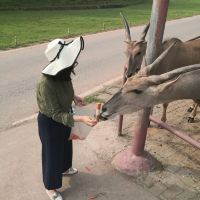 評論圖片 4
